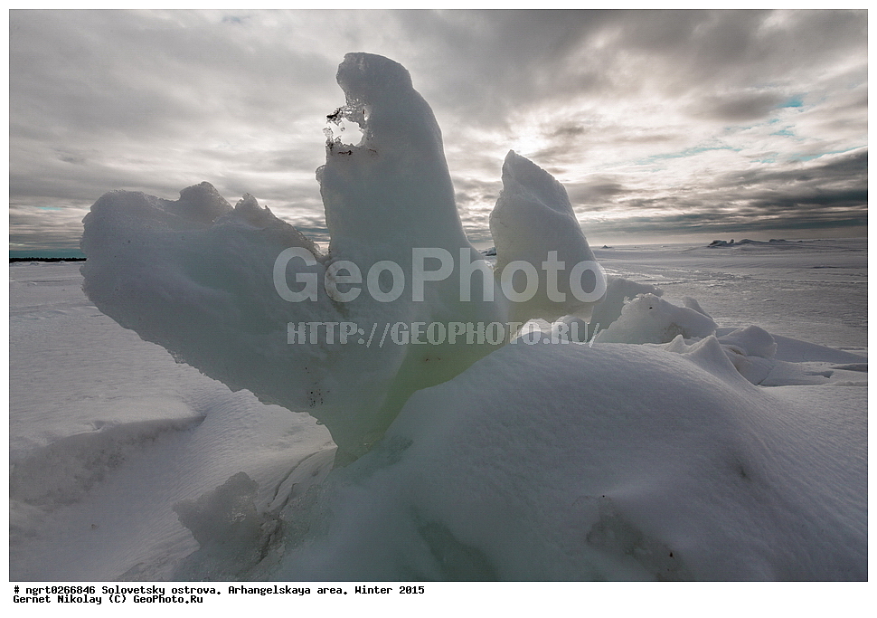 ���������� �������, �������, ������������� �������, ������, ����, 2015 ���