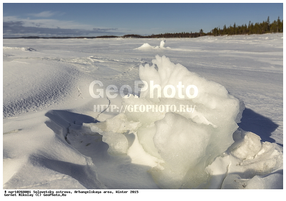 ���������� �������, �������, ������������� �������, ������, ����, 2015 ���