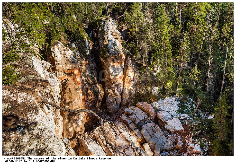 ������������� �������, ��������� ����������, ����������, �����, ����, �������