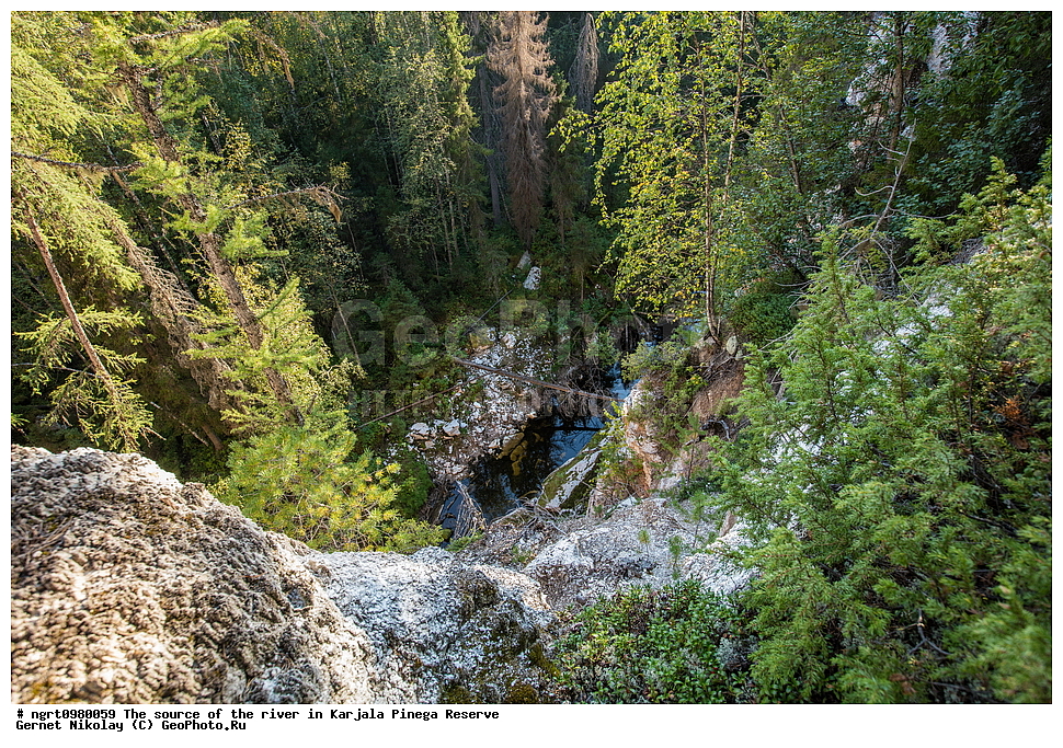 ������������� �������, ��������� ����������, ����������, �����, ����, �������