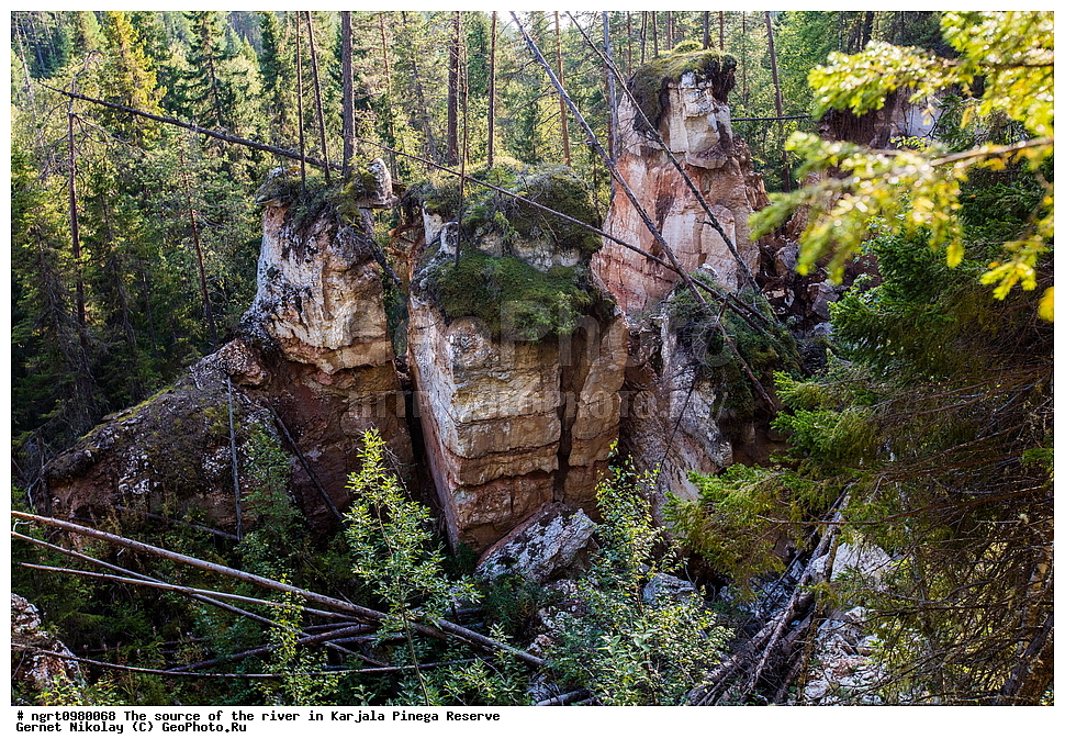 ������������� �������, ��������� ����������, ����������, �����, ����, �������