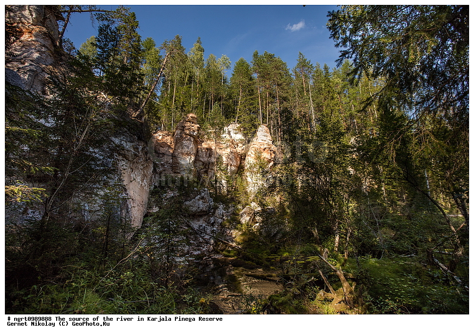 ������������� �������, ��������� ����������, ����������, �����, ����, �������