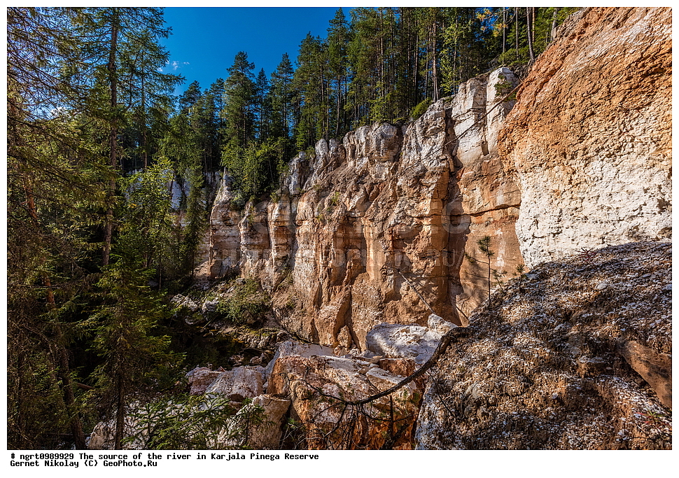 ������������� �������, ��������� ����������, ����������, �����, ����, �������