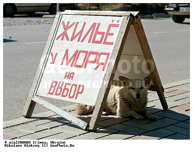 ����, �������, ����, ��������, �����, ����� � ����, �������, ������, � ����