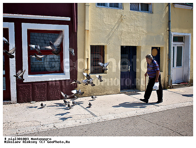 ������, ����������