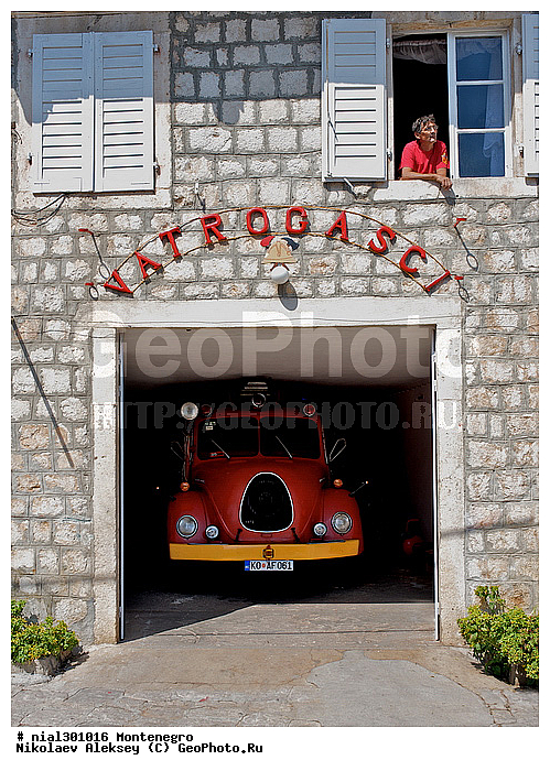 ���� ��������� �����, ����������