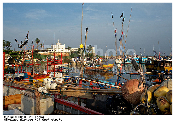 ��������, ���-�����, ����, �����