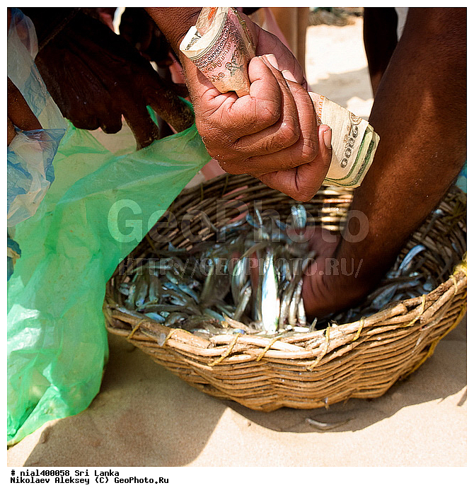 �������, ���-�����, ������, �������, ������� ����, ������� ���, ����, �����