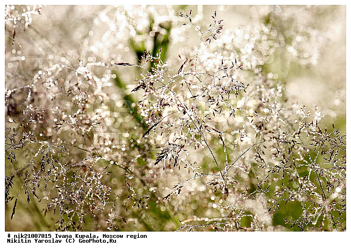 ����� ������, ��������, ���� 2010, �����������, ���������