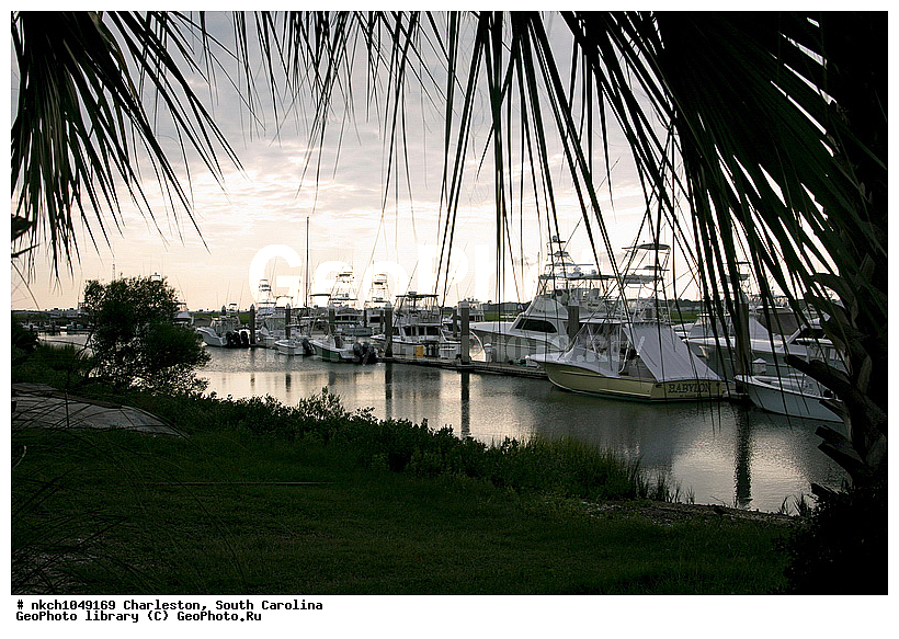 C��, ���������, ����� ��������