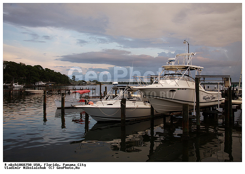 ������ ����, ���, ������