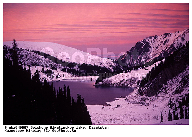 2050 ������, ������� �����������, ���������, �����, ����������� ������