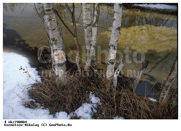 ����, ���������, ����, ����, ������ �����