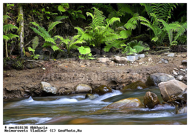 �������, ���� �������� �������, ������, ����, �����, ���������, ����������, ����