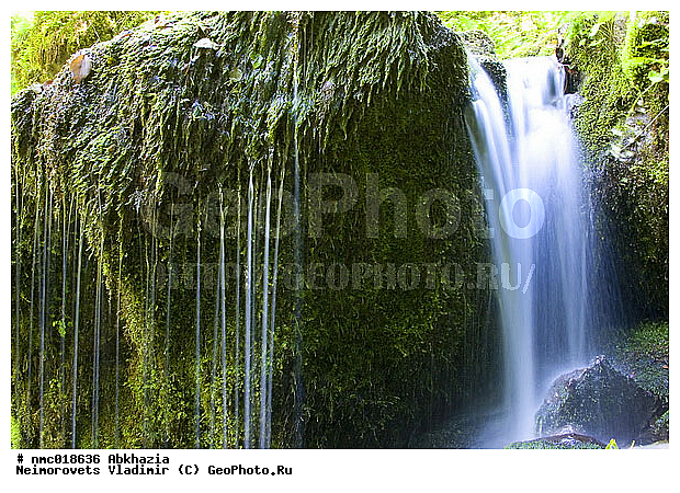 �������, ������, ����, �����, ���������, ���, �����