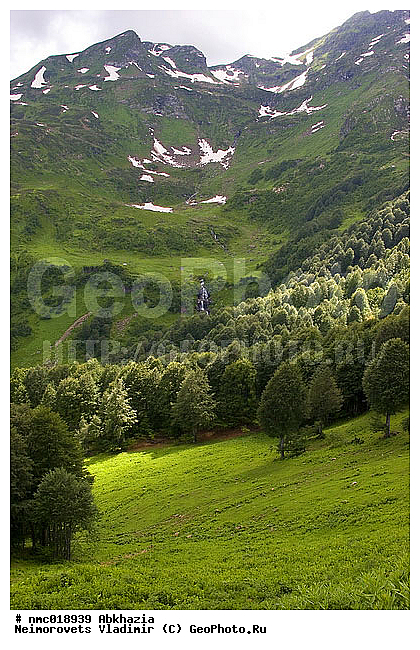 �������, �����, ���� �����, ����, ���������, ���, ���, ����