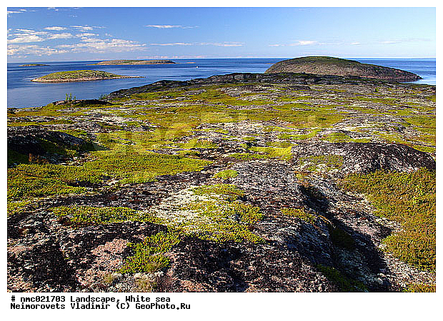 ����� ����, ��������������� ����������� �������� "������", ��������� �������, ��������� ���������, ������, ����, �����, ���������, ������, ������ �������, �����