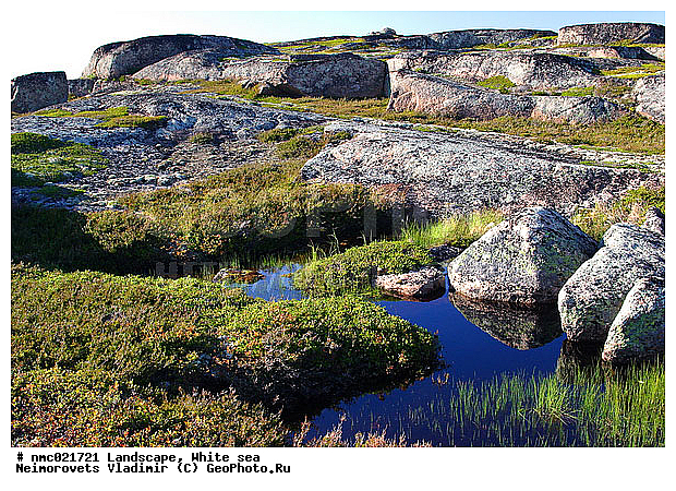 ����� ����, ��������������� ����������� �������� "������", ��������� �������, ��������� ���������, ������, ����, �����, ���������, ������, ������ �������, �����