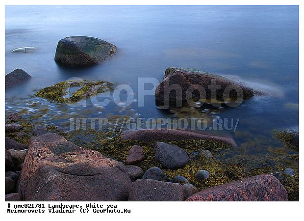 ����� ����, ��������������� ����������� �������� "������", ��������� �������, ��������� ���������, ������, ����, �����, ���������, ����, ����, �����������