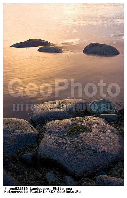 ����� ����, ��������������� ����������� �������� "������", ��������� �������, ��������� ���������, �����, ����, ������, ���������, ����, ������� �����, ������ ��������, ����, ��������