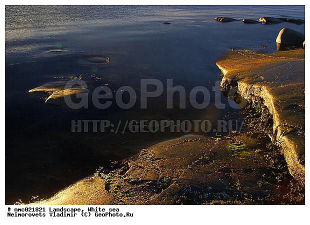 ����� ����, ��������������� ����������� �������� "������", ��������� �������, ��������� ���������, �����, ������, ����, ������, �����, ���������, ����, ������� �����, ����