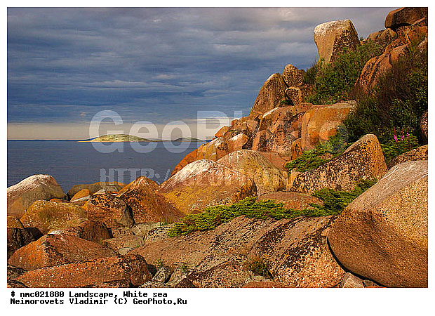 ����� ����, ��������������� ����������� �������� "������", ��������� �������, ��������� ���������, ������, ����, ������, �����, ���������, ����, ����, ������, ������