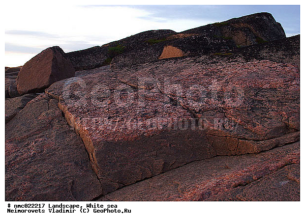 ����� ����, ��������������� ����������� �������� "������", ��������� �������, ��������� ���������, �����, ������, ������, ���������, ������� �����, ����