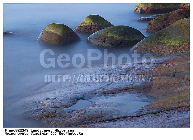 ����� ����, ��������������� ����������� �������� "������" , ��������� �������, ��������� ���������, ����� , ������, ����, ������, �������� ���������, ��������, ������, �����, ���������, ����, ������� �����, ����