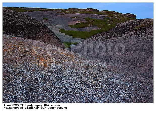 ����� ����, ��������������� ����������� �������� "������", ��������� �������, ��������� ���������, �����, ������, ������, ���������, ������� �����, ����