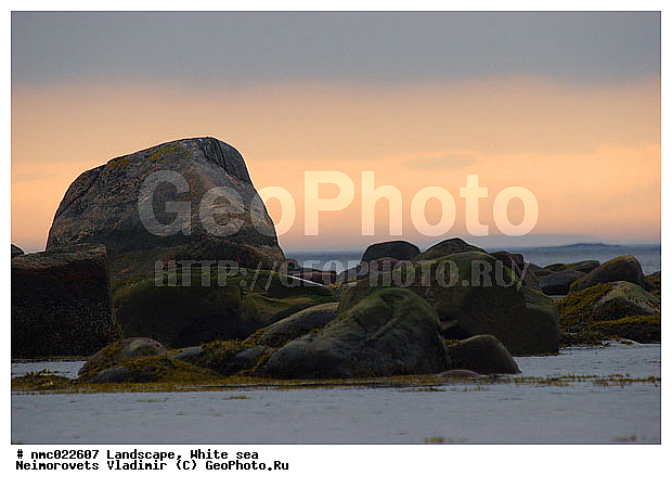 ����� ����, ��������������� ����������� �������� "������", ��������� �������, ��������� ���������, �����, ������, ����, ������, �����, ���������, ����, ������� �����, ����