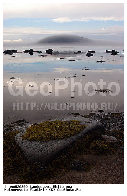 ����� ����, ��������������� ����������� �������� "������", ��������� �������, ��������� ���������, ������, ����, �����, ���������, ����, ������, �����