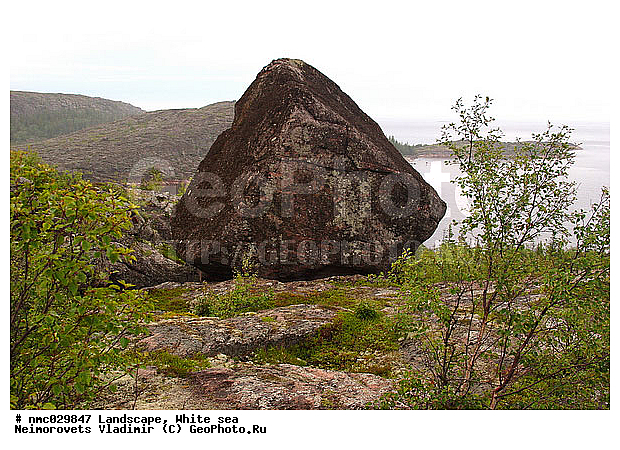 ����� ����, ��������������� ����������� �������� "������", ��������� �������, ��������� ���������, �������� �����, �����, �����, ���������, ������, ����, ������ ��������