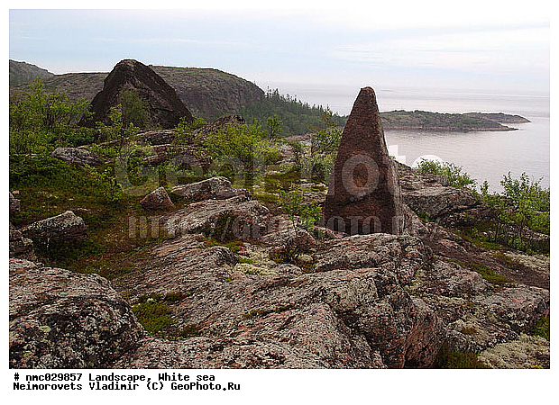 ����� ����, ��������������� ����������� �������� "������", ��������� �������, ��������� ���������, �������� �����, �����, ������, �����, ���������, ������, ������, ����, ������ ��������