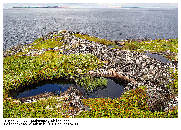 ����� ����, ��������������� ����������� �������� "������", ��������� �������, ��������� ���������, �������, ������, ����, �����, ���������, ����, ������, ������ �������, �����