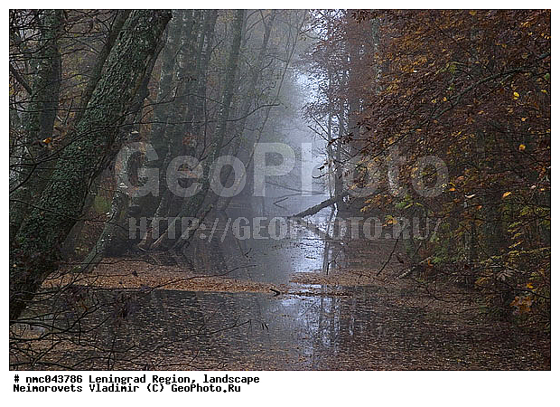 ������������� �������, ������� �����, ����, �������, ��������, ����� ���������, �����, ������������ ����������� �������� "������� �����", �����