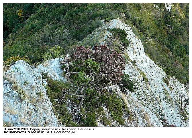 ���, ������� ��������� ������, ���� �����, �������� ������, ������������� ����, �����, ������-�������� ������, ����, �����, ������������ ����������� �������� �������