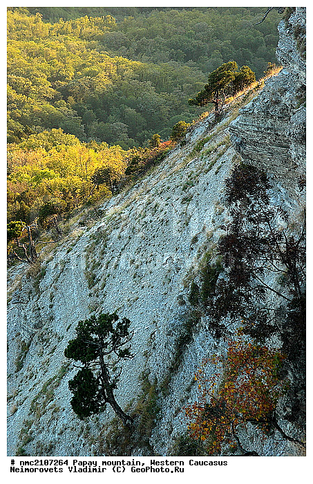 ���, ������� ��������� ������, ���� �����, �������� ������, ������������� ����, �����, ������-�������� ������, �����, ����, �����, ������������ ����������� �������� �������