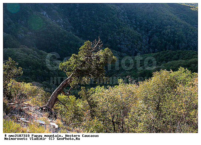 ���, ������� ��������� ������, ���� �����, �������� ������, ������������� ����, �����, ������-�������� ������, ����, �����, ������������ ����������� �������� �������, ��������, ����