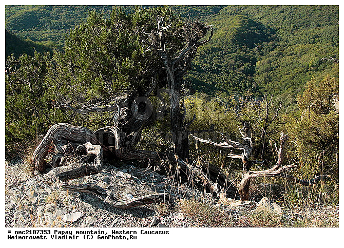 ���, ������� ��������� ������, ���� �����, �������� ������, ������������� ����, �����, ������-�������� ������, ����, ������, ������������, �����, ������������ ����������� �������� �������, ��������, ����