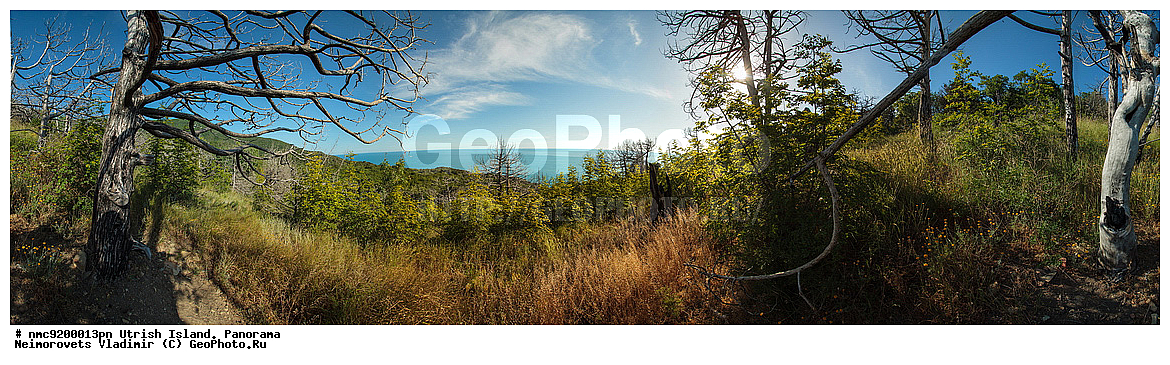 ����������, �����, ����������, �����, ���������� ����, ��������