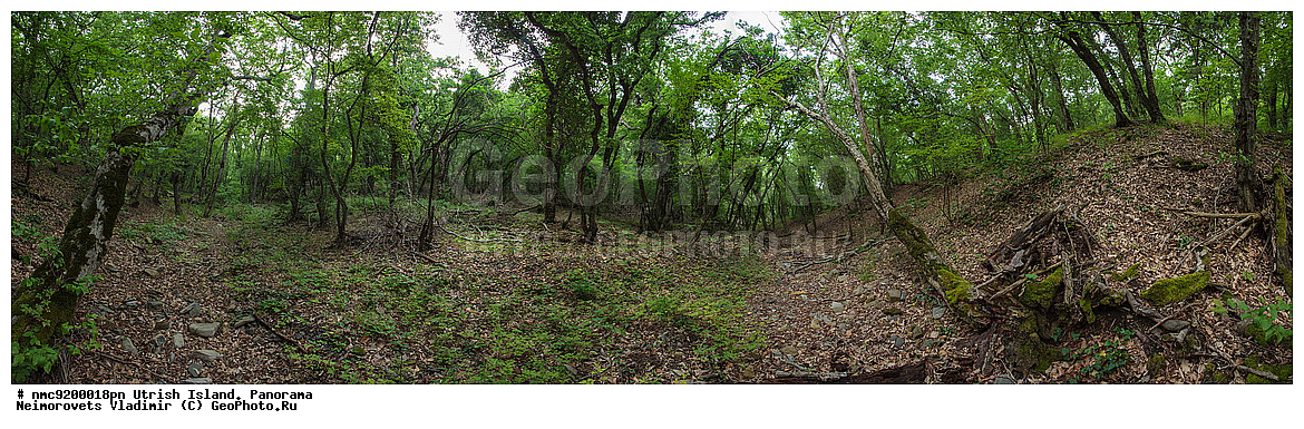 ����������, �����, ����������, �����, ����������� ����, ��������