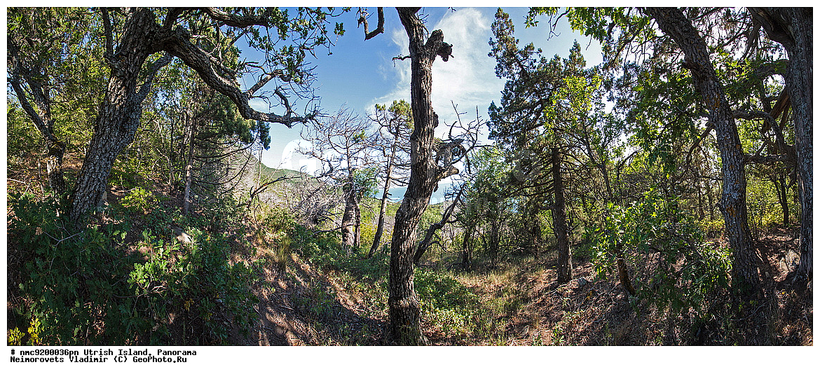 ����������, �����, ����������, �����, ���������� ����, ��������