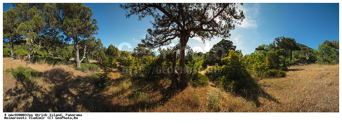 ����������, �����, ����������, �����, ���������� ����, ��������