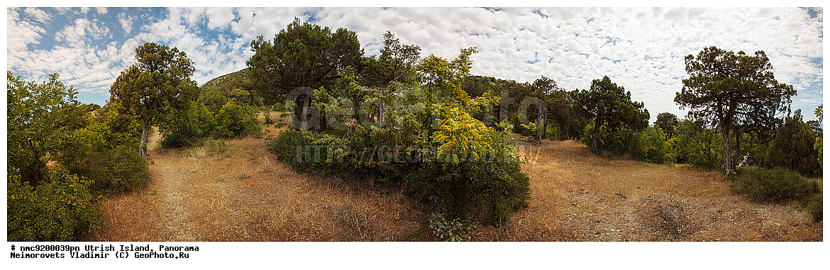 ����������, �����, ����������, �����, ���������� ����, ��������