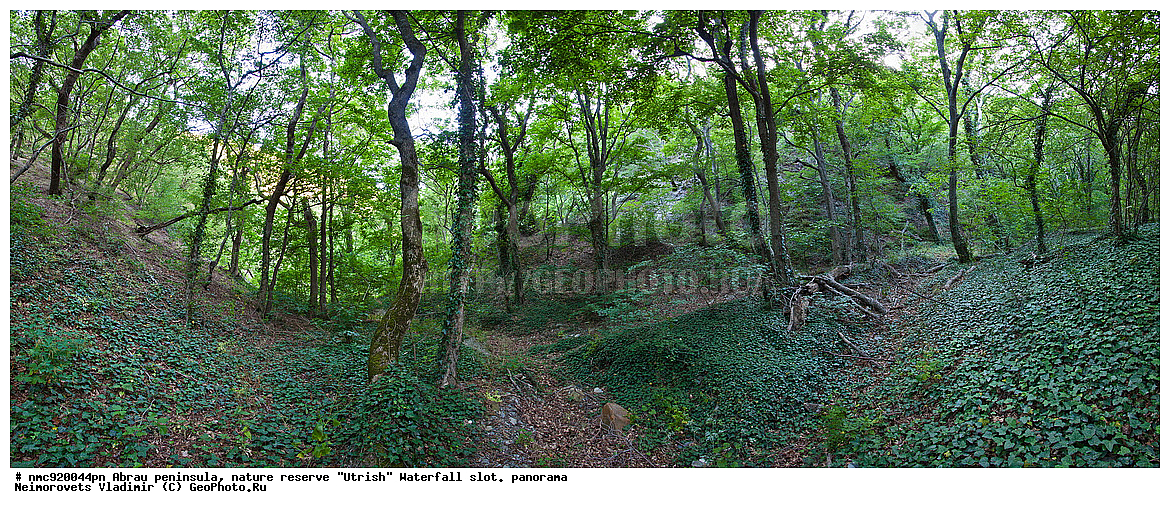 �����, ���������� ����, ��������, �����, ����������, ����������