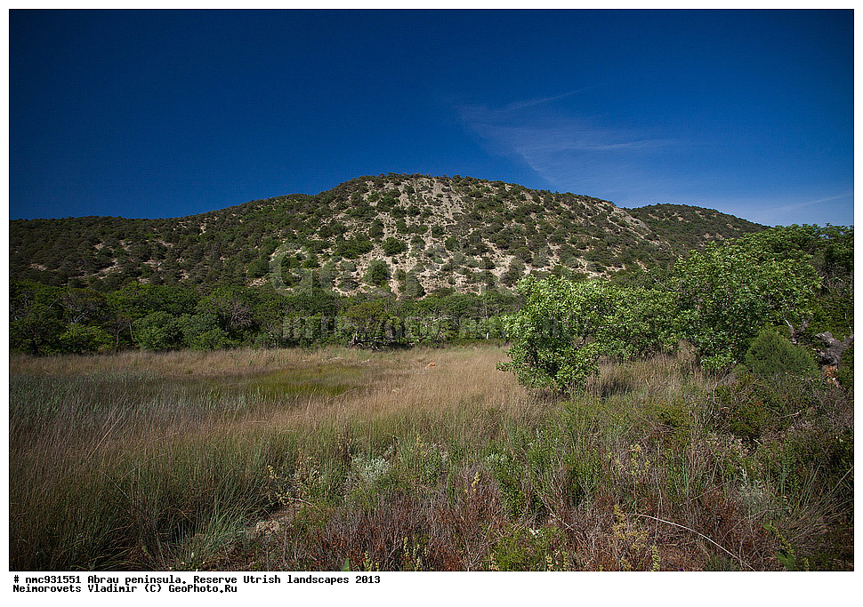 �����, ����������, �����, ��������, ����������