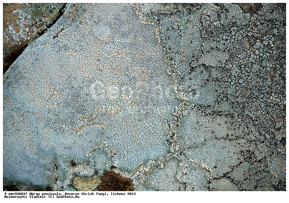 ����������, �����, ����������, �����, �����, ���������