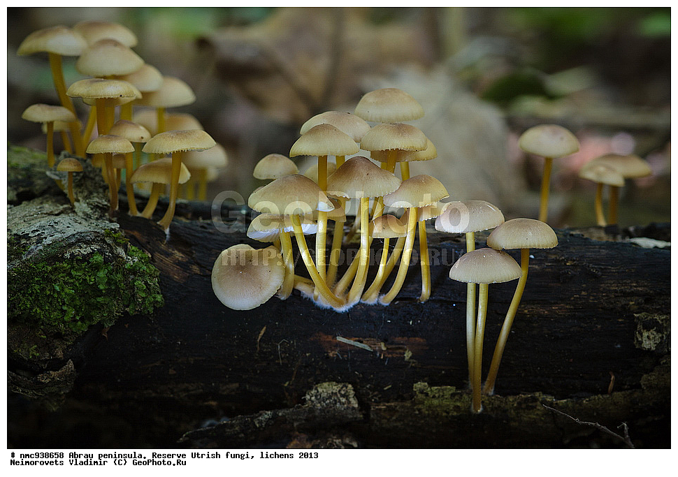 ����������, �����, ����������, �����, �����, ���������