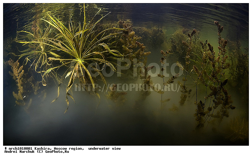 ��������� �����, ���������� �������, �������, ������� ����������, �����������, ���, �� ���, �����������, ���������