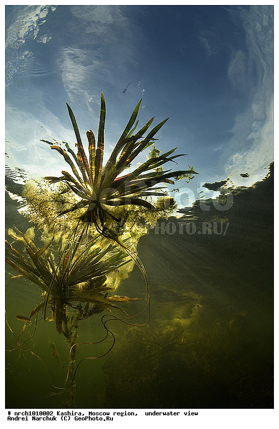 ��������� �����, ���������� �������, �������, ������� ����������, �����������, ���, �� ���, �����������, ���������